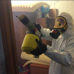 Уничтожение клопов в квартире. Ульяновка